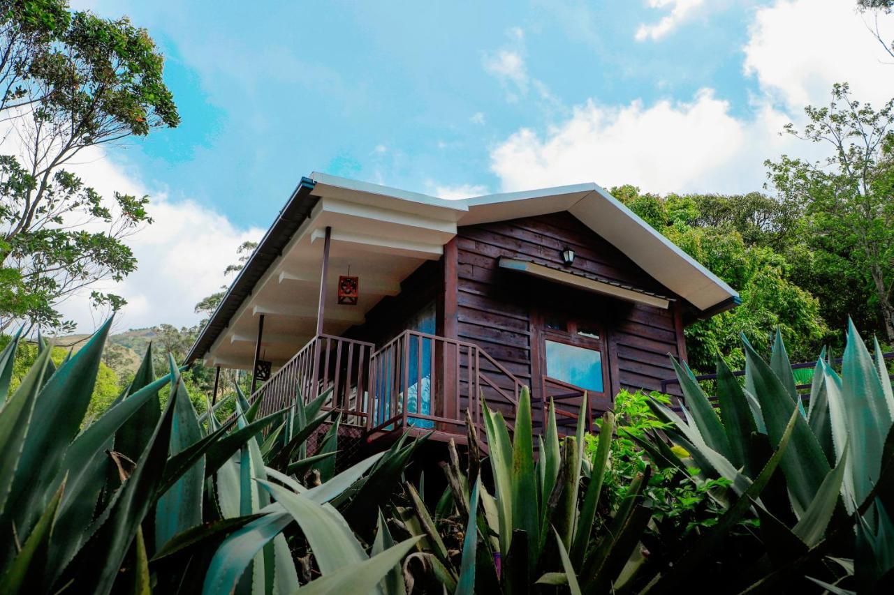 Wild Orchid Eco Tourism Munnar Exterior foto